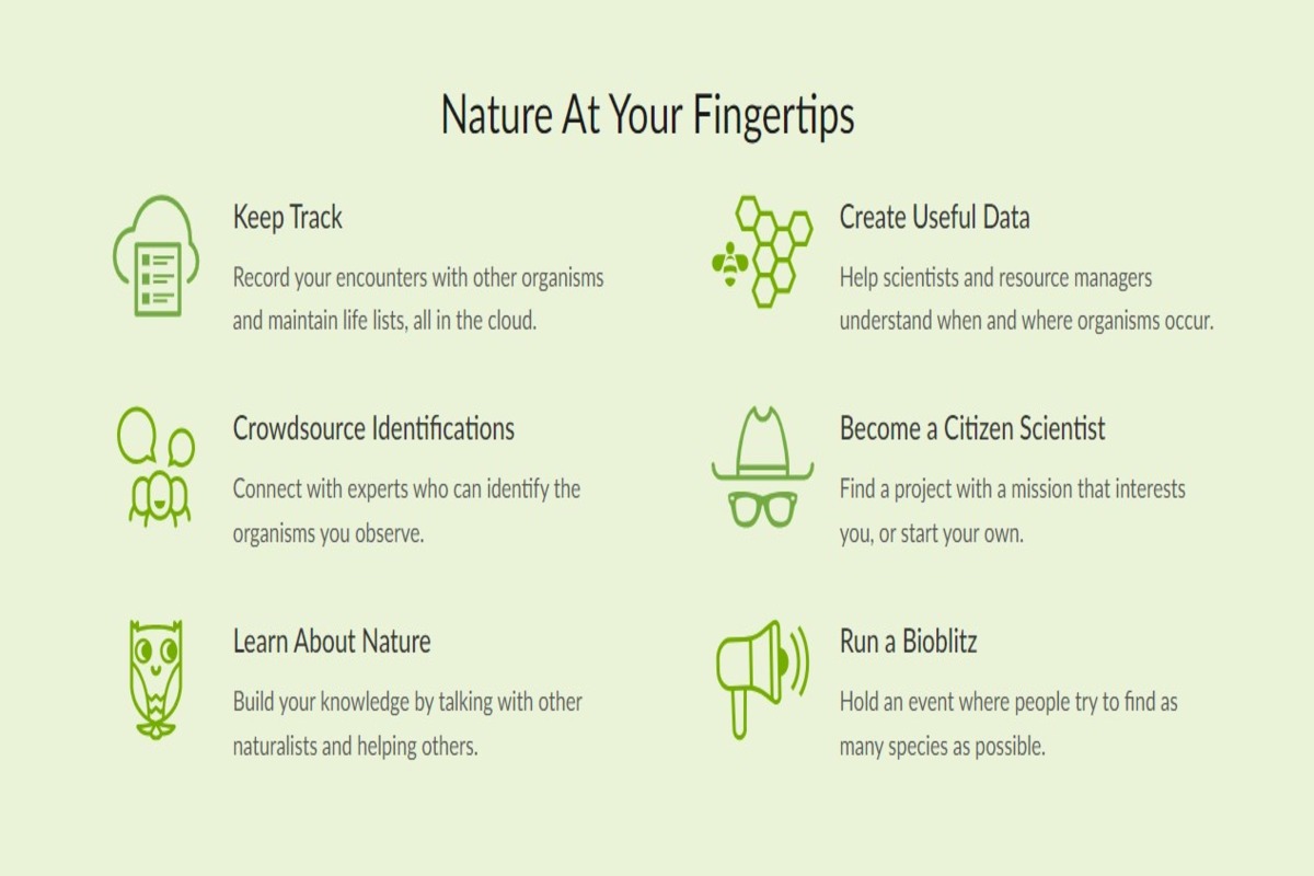 iNaturalist app for botanical knowledge